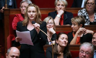 À l’Assemblée, Axelle Lemaire remplaçait Valérie Fourneyron, absente pour des raisons de santé.